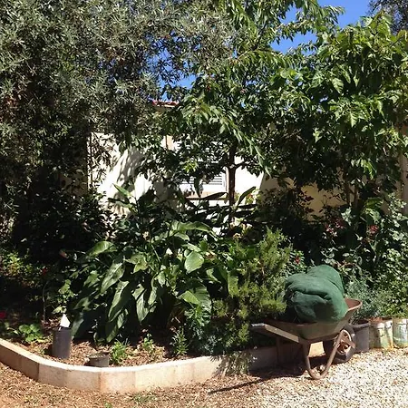 A Casa Do Teddy Cernache do Bonjardim